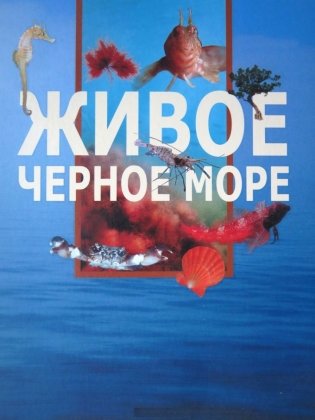 Живое Черное море фото книги