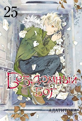 Бездомный бог. Т. 25: манга фото книги