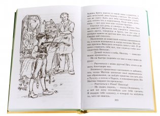 Без семьи фото книги 5