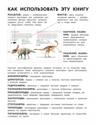 Динозавры. Полный иллюстрированный словарь фото книги 6