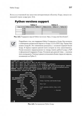 Python для сетевых инженеров. Автоматизация сети, программирование и DevOps фото книги 17