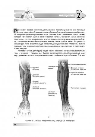 Анатомия плавания. Иллюстрированное руководство по развитию силы, скорости и выносливости фото книги 6