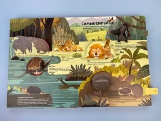 Удивительные животные фото книги 3