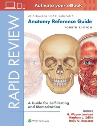 Rapid Review: Anatomy Reference Guide фото книги