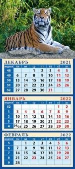 Календарь квартальный "Хозяин джунглей" на 2022 год фото книги