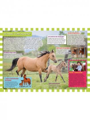 Детеныши животных фото книги 3