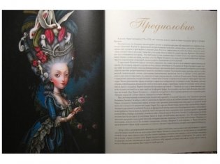 Мария-Антуанетта. Тайный дневник королевы фото книги 3