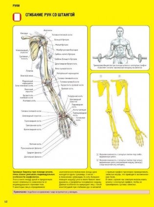 Анатомия силовых упражнений для мужчин и женщин фото книги 11