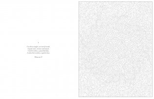 Mystery Coloring Mandalas фото книги 2