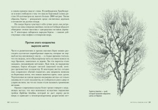 Деревья. Как жизни человека и дерева переплетены друг с другом фото книги 4