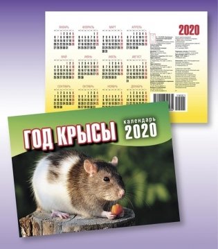 Календарь на спирали "Год крысы" на 2020 год фото книги
