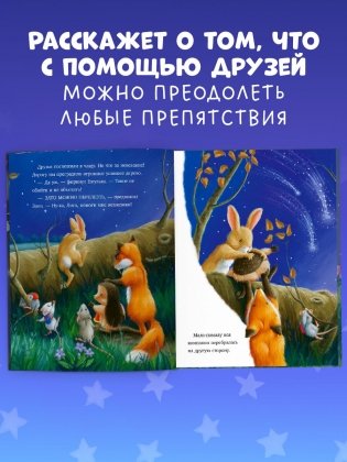Самая звёздная ночь фото книги 3