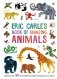 Eric Carle's Book of Amazing Animals фото книги маленькое 2