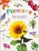 Flowers. Explore Nature with Fun Facts and Activities фото книги маленькое 2