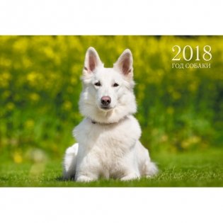 Календарь на 2018 год "Символ года. Благородная собака" фото книги