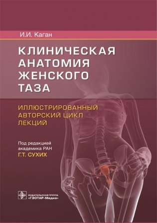 Клиническая анатомия женского таза. Иллюстрированный авторский цикл лекций фото книги