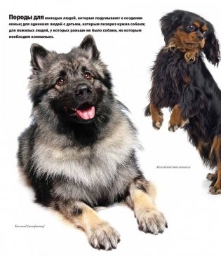Все породы собак фото книги 5