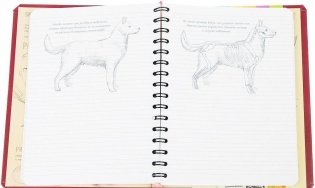 SketchBook. Визуальный экспресс-курс рисования фото книги 4