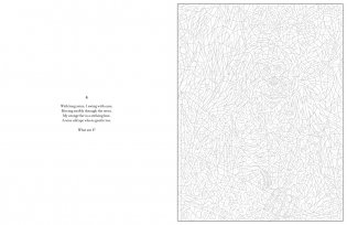 Mystery Coloring Wild Animals фото книги 7