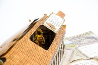 Семь чудес света фото книги 15