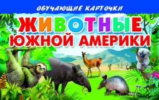 Обучающие карточки Животные Южной Америки фото книги