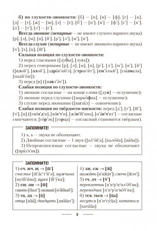 Русский язык. ЦЭ. ЦТ. Теория. Примеры. Тесты фото книги 5