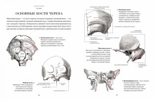 Анатомия. С иллюстрациями из классической «Анатомии Грея» фото книги 4