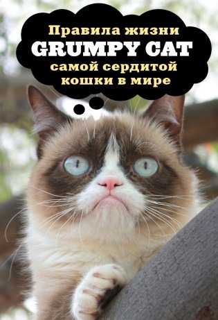 Grumpy Cat. Правила жизни самой сердитой кошки в мире фото книги
