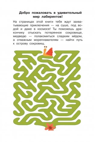 100 суперлабиринтов фото книги 4