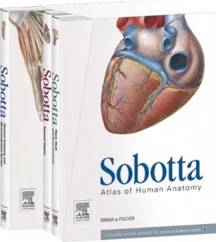 Sobotta, Atlas of Anatomy, фото книги