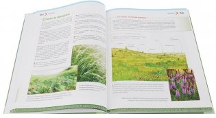 Большая энциклопедия растений для детей фото книги 3