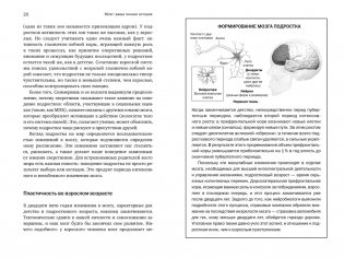 Мозг: ваша личная история фото книги 7