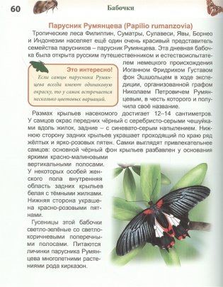 Энциклопедия. Бабочки фото книги 5