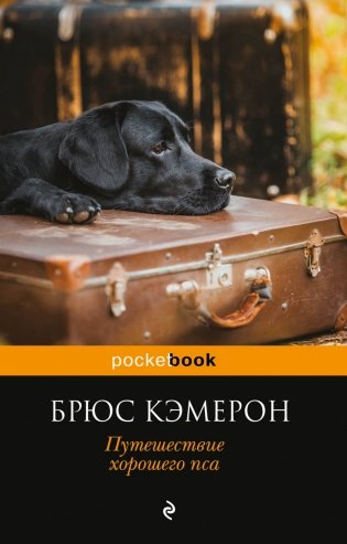 Путешествие хорошего пса фото книги