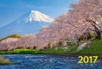 Календарь квартальный на 2017 год "Цветение сакуры" фото книги