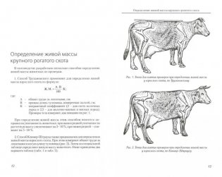 Определение живой массы сельскохозяйственных животных по промерам фото книги 2