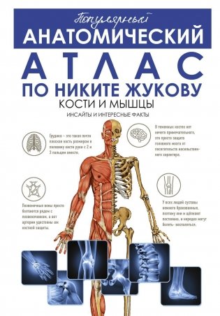 Популярный анатомический атлас по Никите Жукову: кости и мышцы. Инсайты и интересные факты фото книги