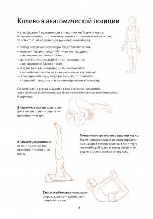 Анатомия йоги. Колени фото книги 8