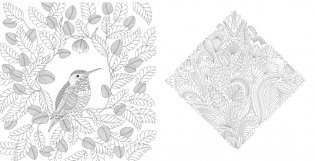 Чудеса природы. Золотая коллекция любимых иллюстраций фото книги 5