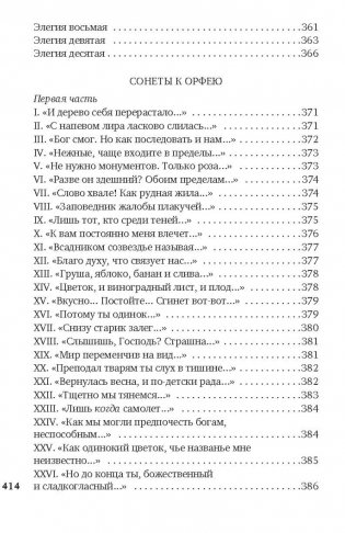 Поздняя осень в Венеции фото книги 8