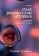 Атлас эмбриологии человека фото книги маленькое 2