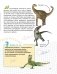 Динозавры фото книги маленькое 9
