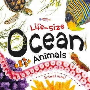 Life-size. Ocean Animals фото книги