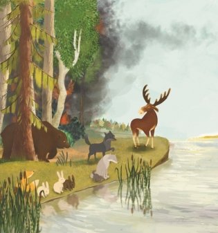 Рыжий зубастик. Серия «Сказки птиц и зверей» фото книги 3