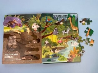 Удивительные животные фото книги 4