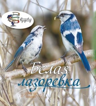 Птица года Беларуси. Белая лазоревка фото книги