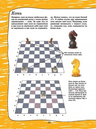 Шахматы фото книги 11