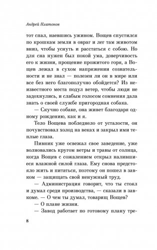 Котлован фото книги 8