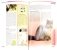 Персидская кошка фото книги маленькое 3