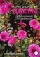 Цветы. Полное руководство по выращиванию и размножению фото книги маленькое 2